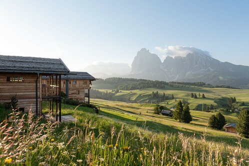 Adler Mountain Lodge