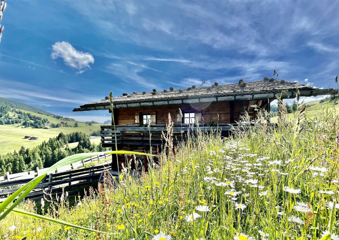 Almhütte Ronsol