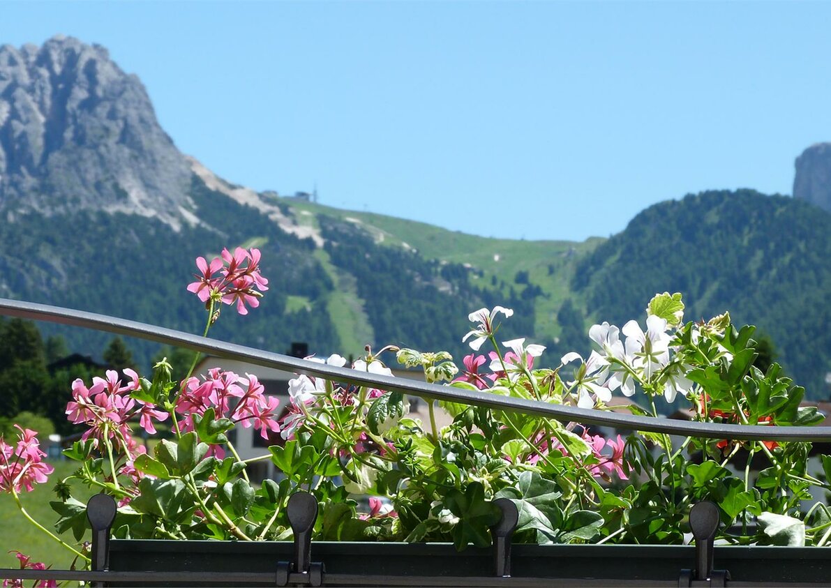 Apartments Cësa Gardis