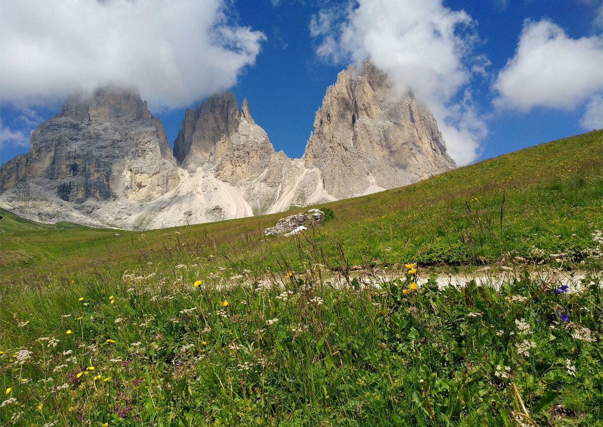 Apartments Cësa Gardis - Surroundings