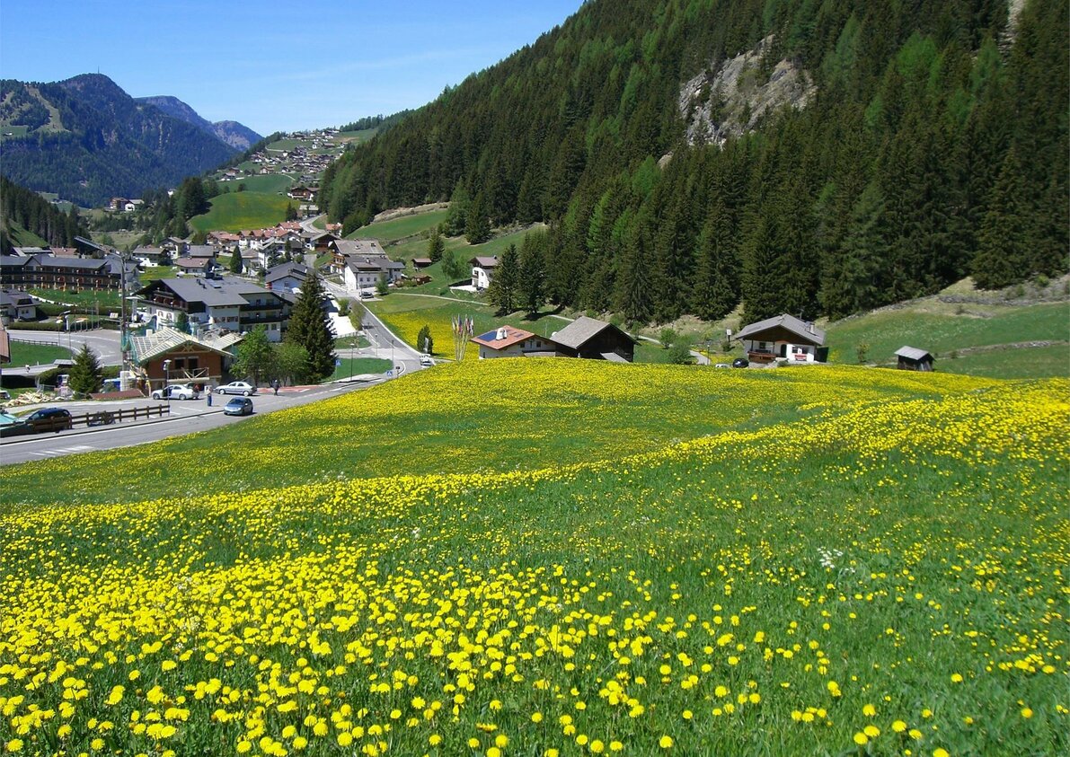 Panorama intorno alla casa