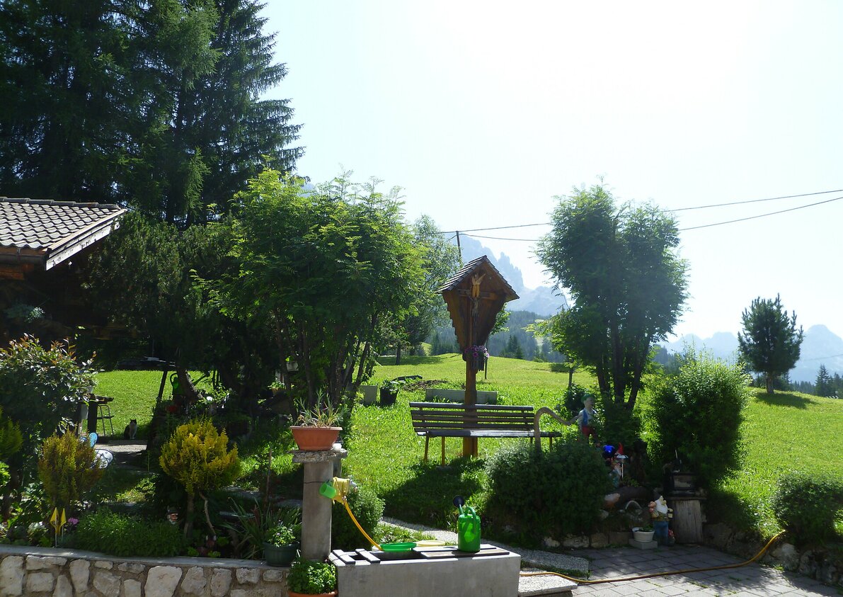 Our garden