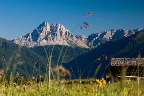 Berggasthaus Starkenfeldhütte