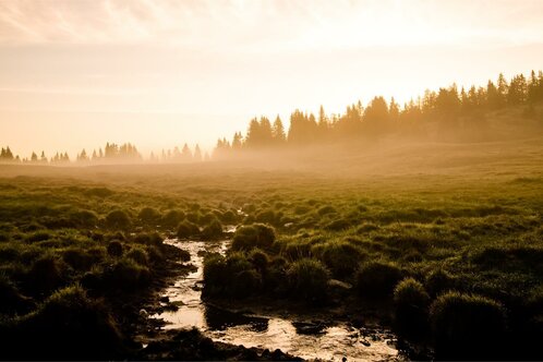 Berggasthaus Starkenfeldhütte