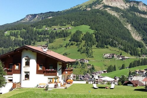 Garni Vergissmeinnicht