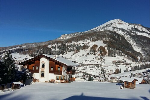 Garni Vergissmeinnicht