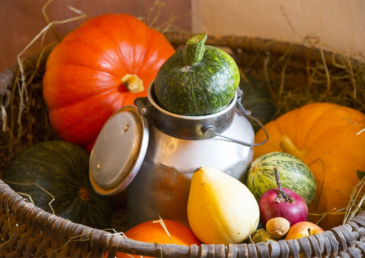 pumpkin