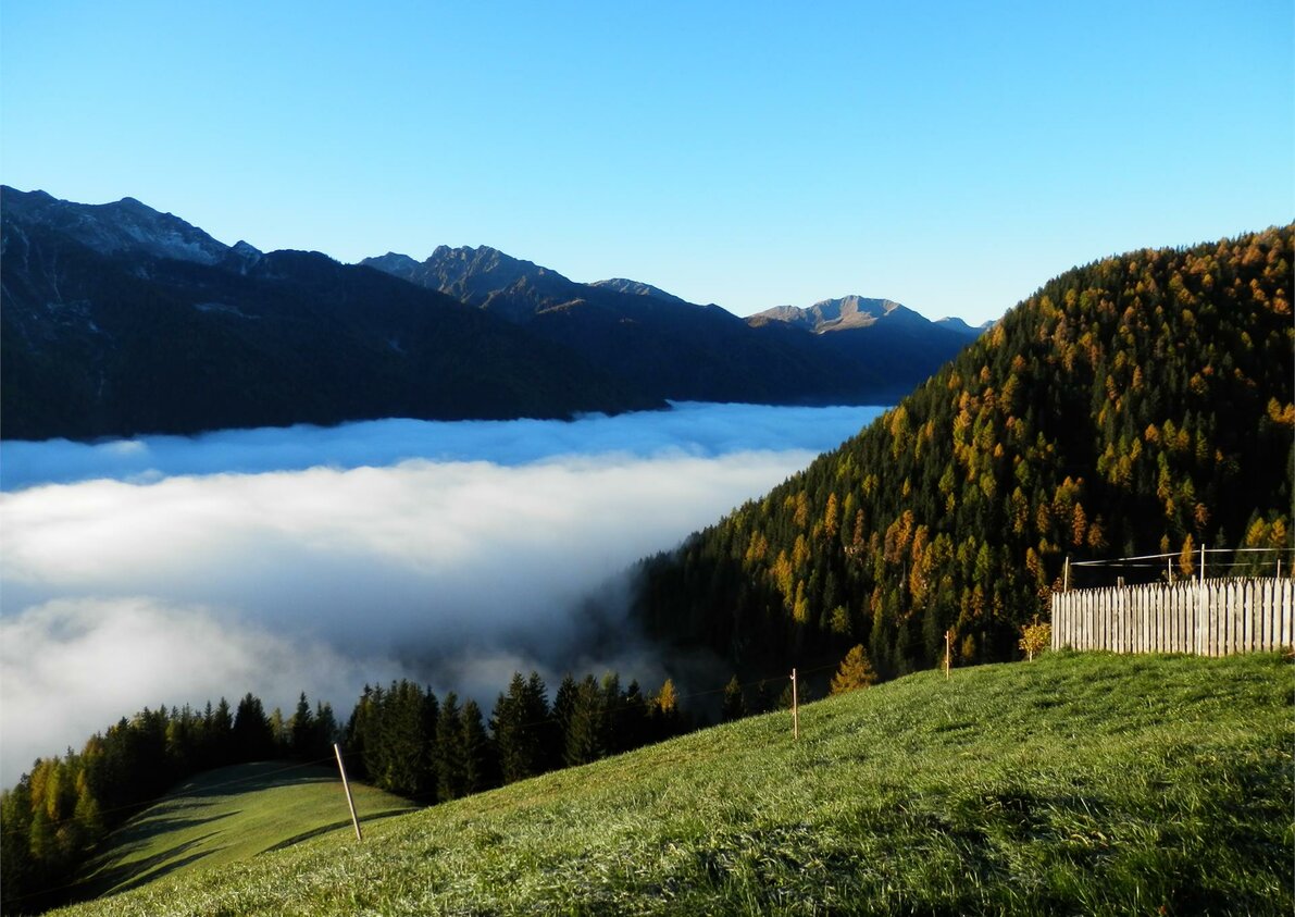 Herbstbild