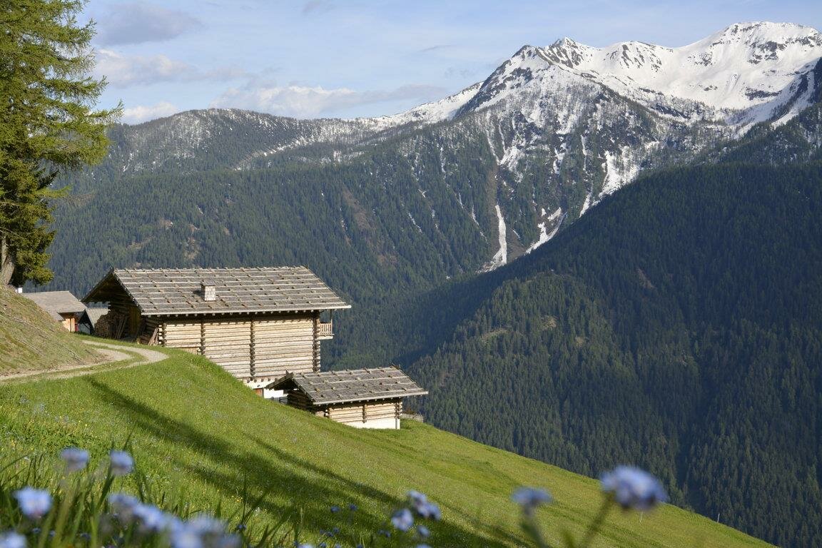 Frühsommer auf dem Gigglhirnhof