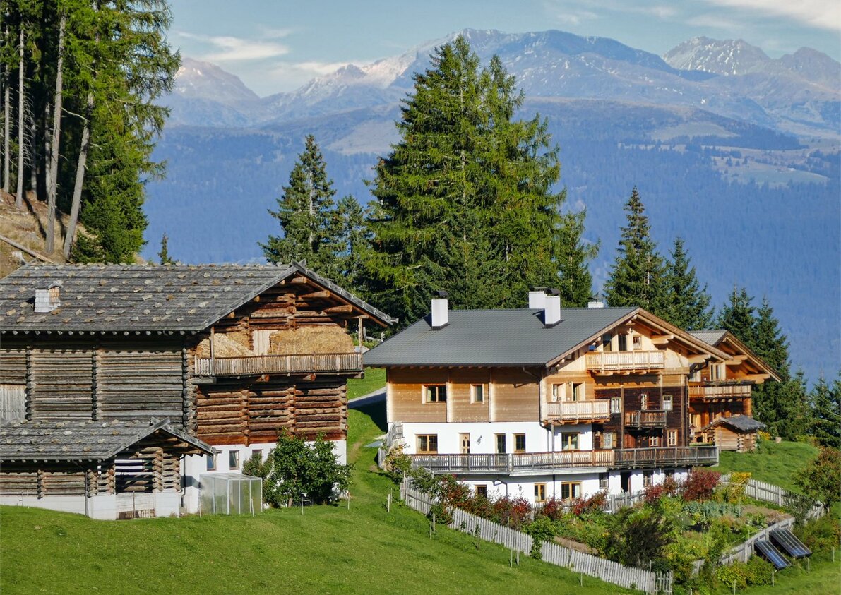 Gigglhirn
