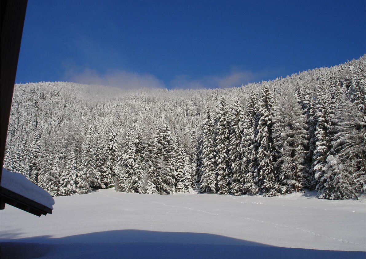 Inverno
