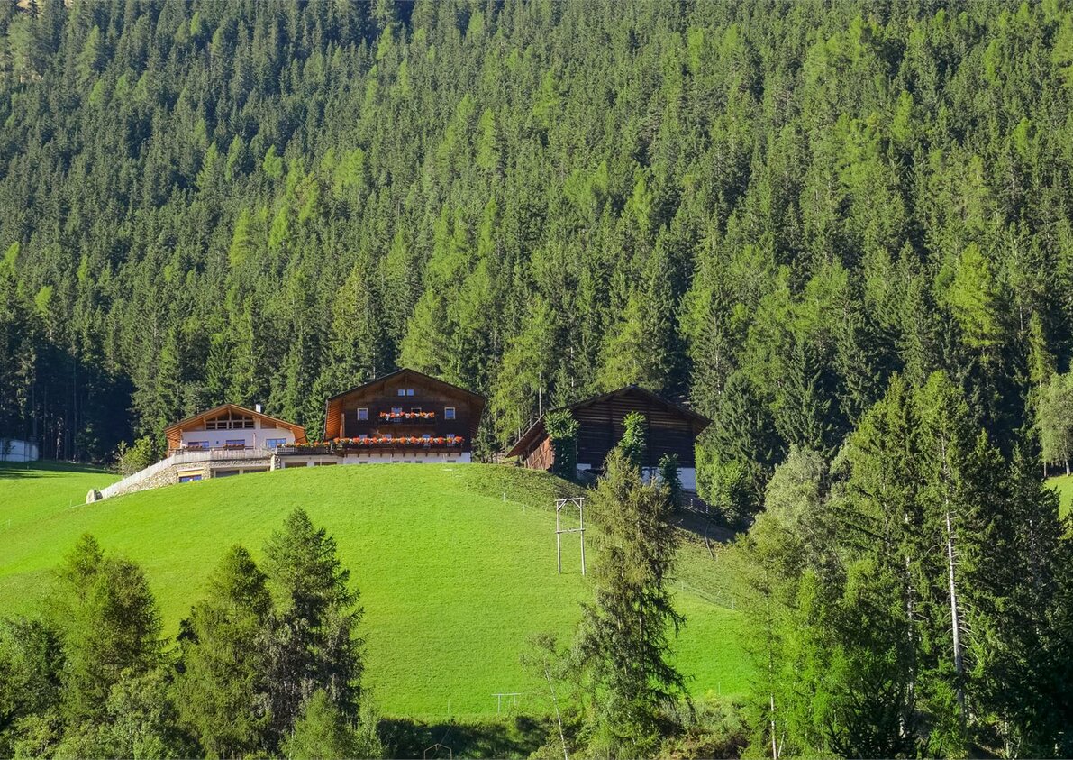 Thalhof