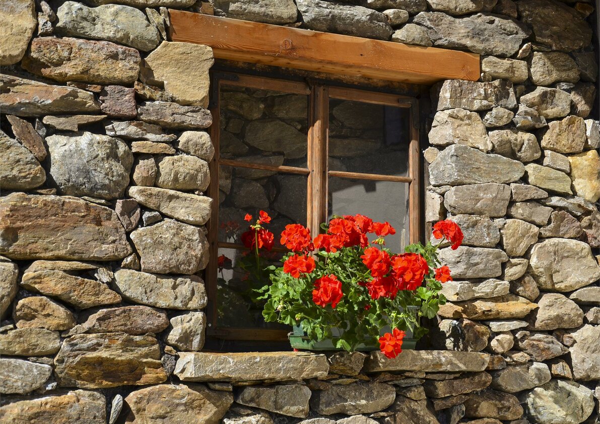 Fiori