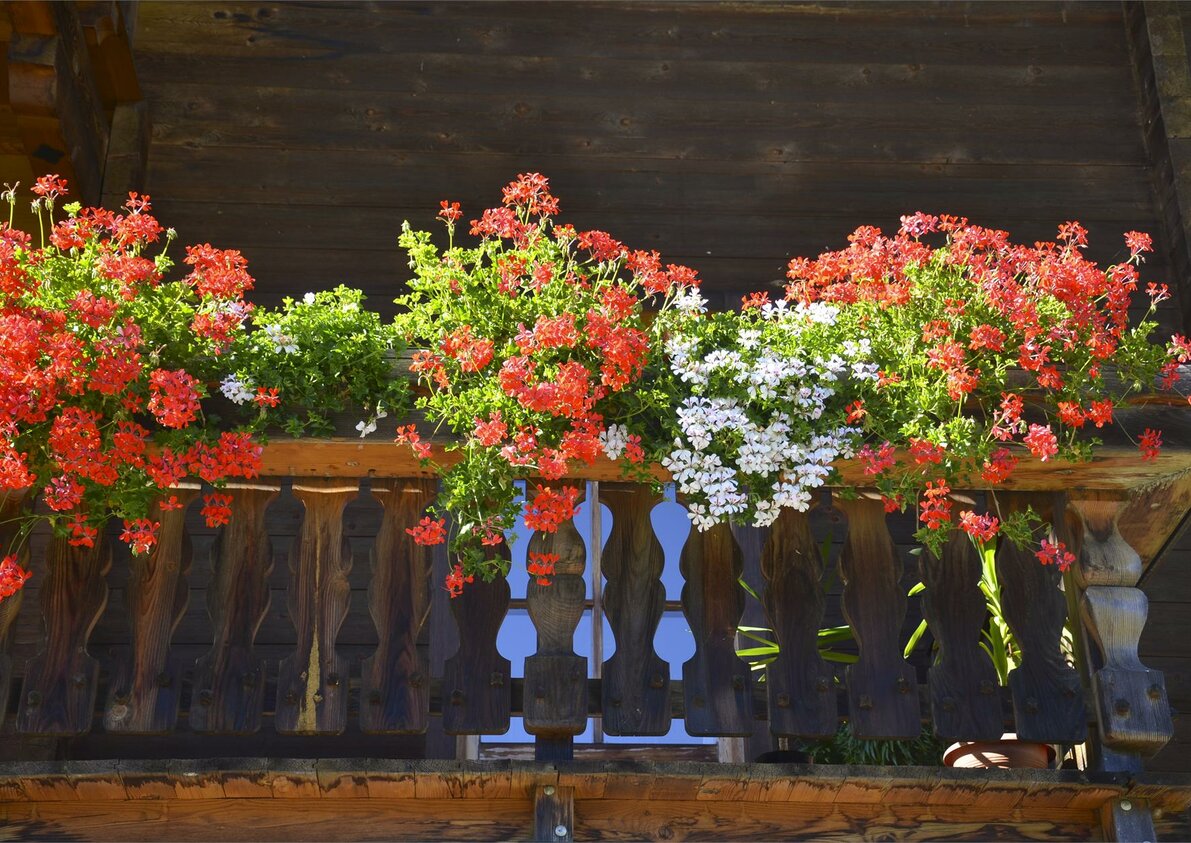 Fiori