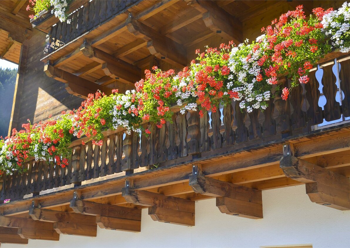 Fiori
