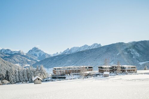 Hotel Alpen Tesitin