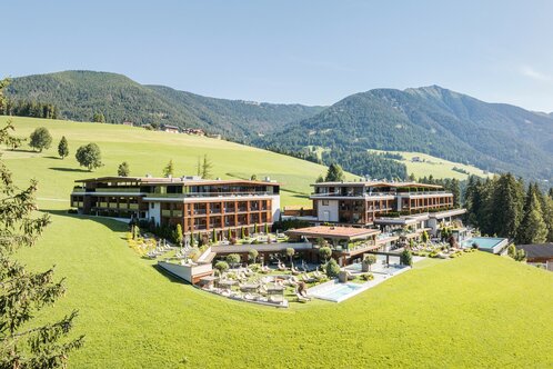 Hotel Alpen Tesitin