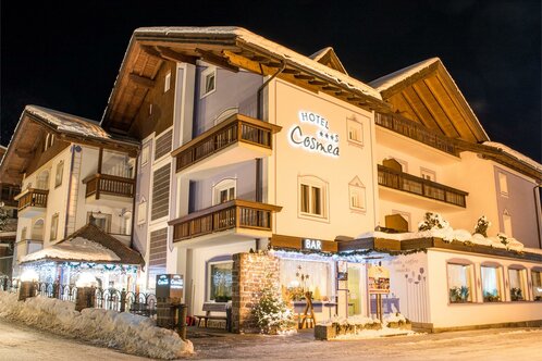 Hotel Cosmea