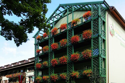 Bio house - attached to the Grüner Baum