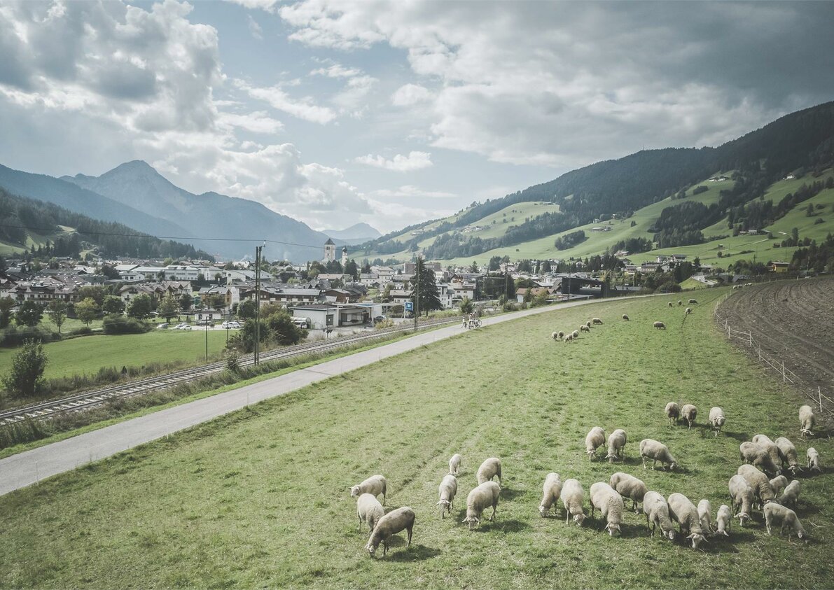 Pista Ciclabile San Candido - Lienz