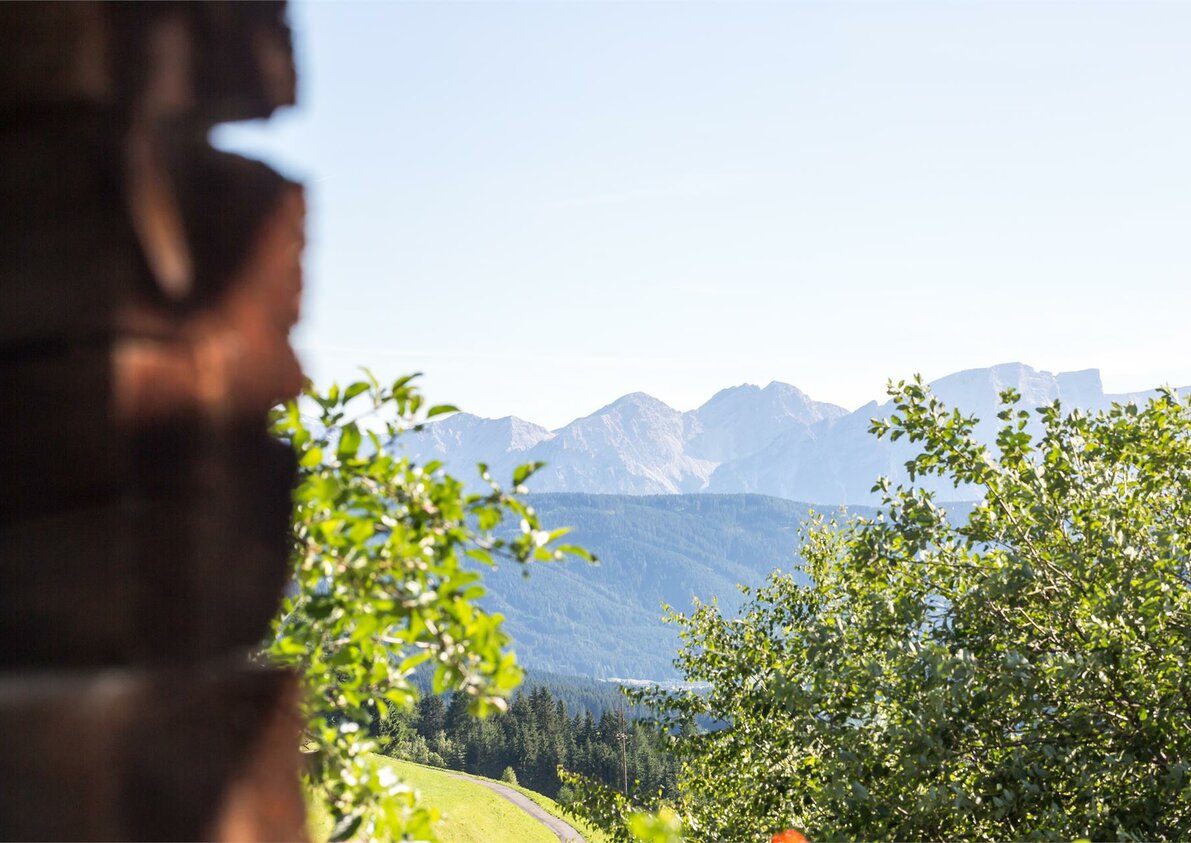 Bergblick