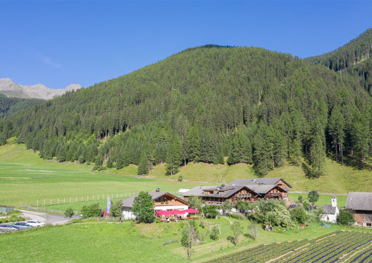 Jelerhof