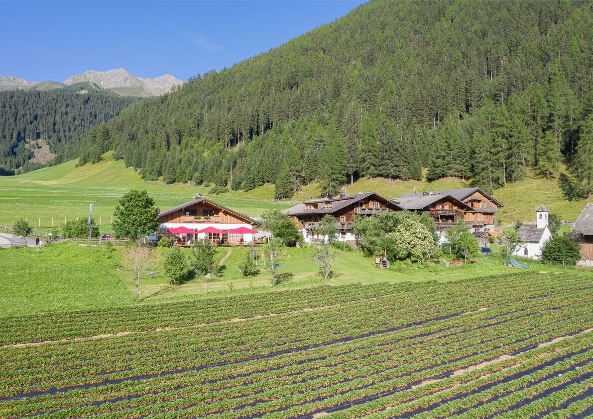 Jelerhof