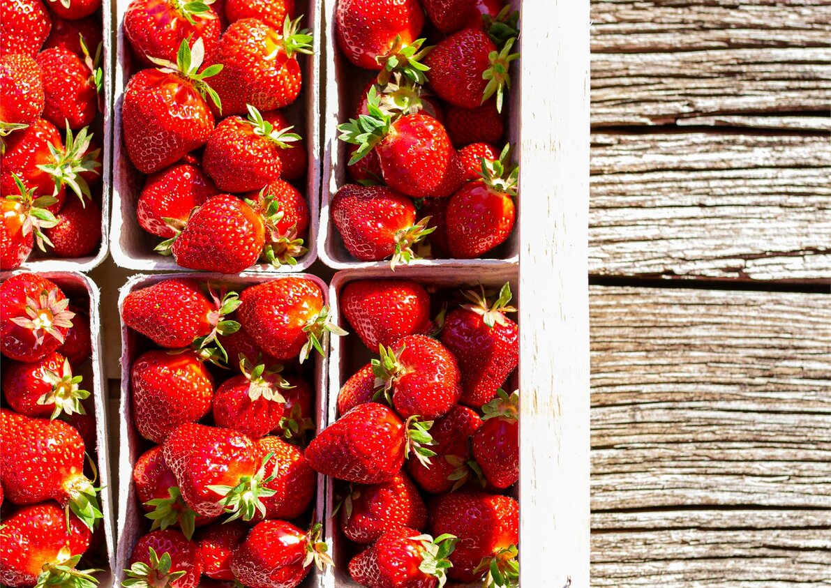 Frische Erdbeeren