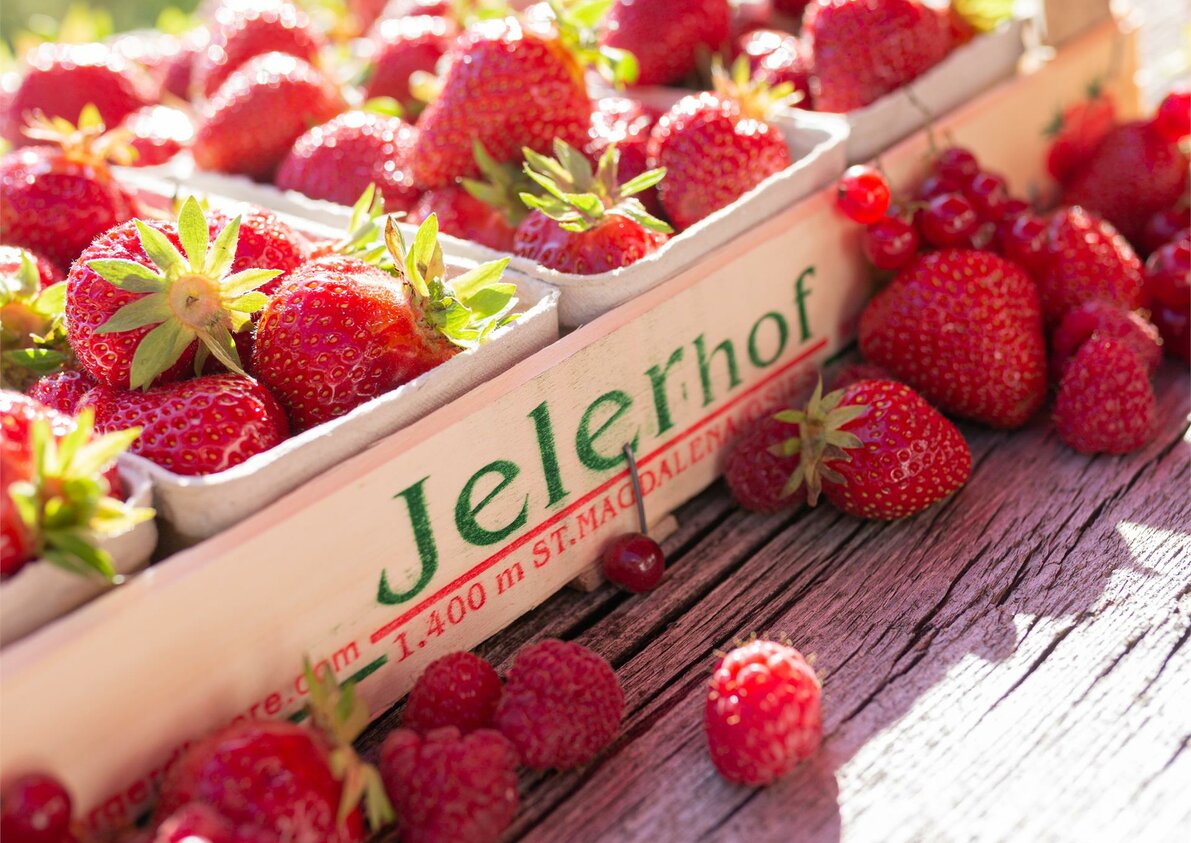Frische Erdbeeren