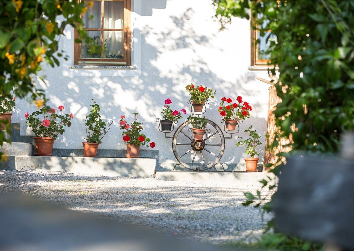 Jelerhof
