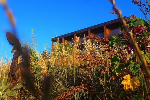 Naturidylle® Geyrerhof