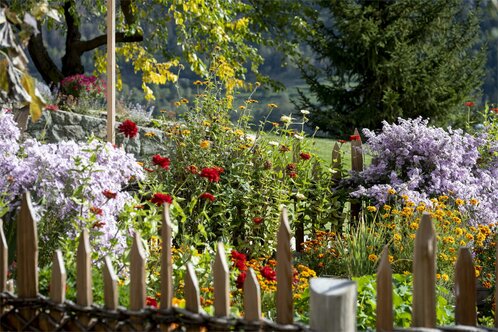 Farmer's garden in fall