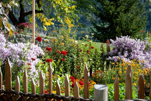 Farmer's garden in fall