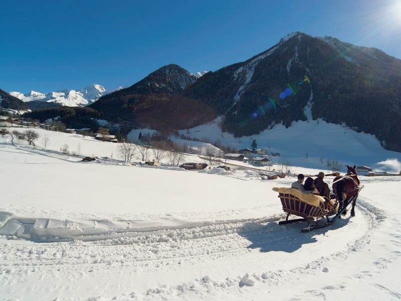 Gite in carrozza