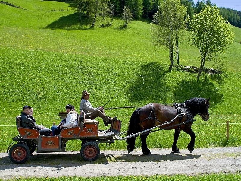 Gite in carrozza