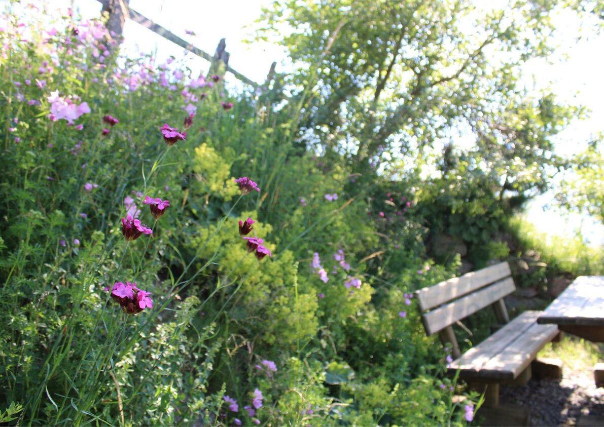 Ruheplatz im Gästegarten