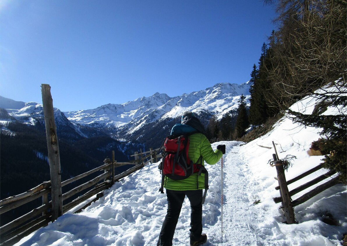 Winterwandern nahe am Hof