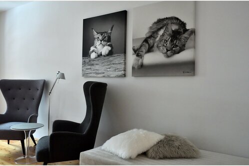 Juniorsuite Paradiso