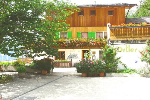 the courtyard of our house