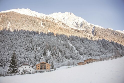 Apartments Hochbrunn und Pension Brunner