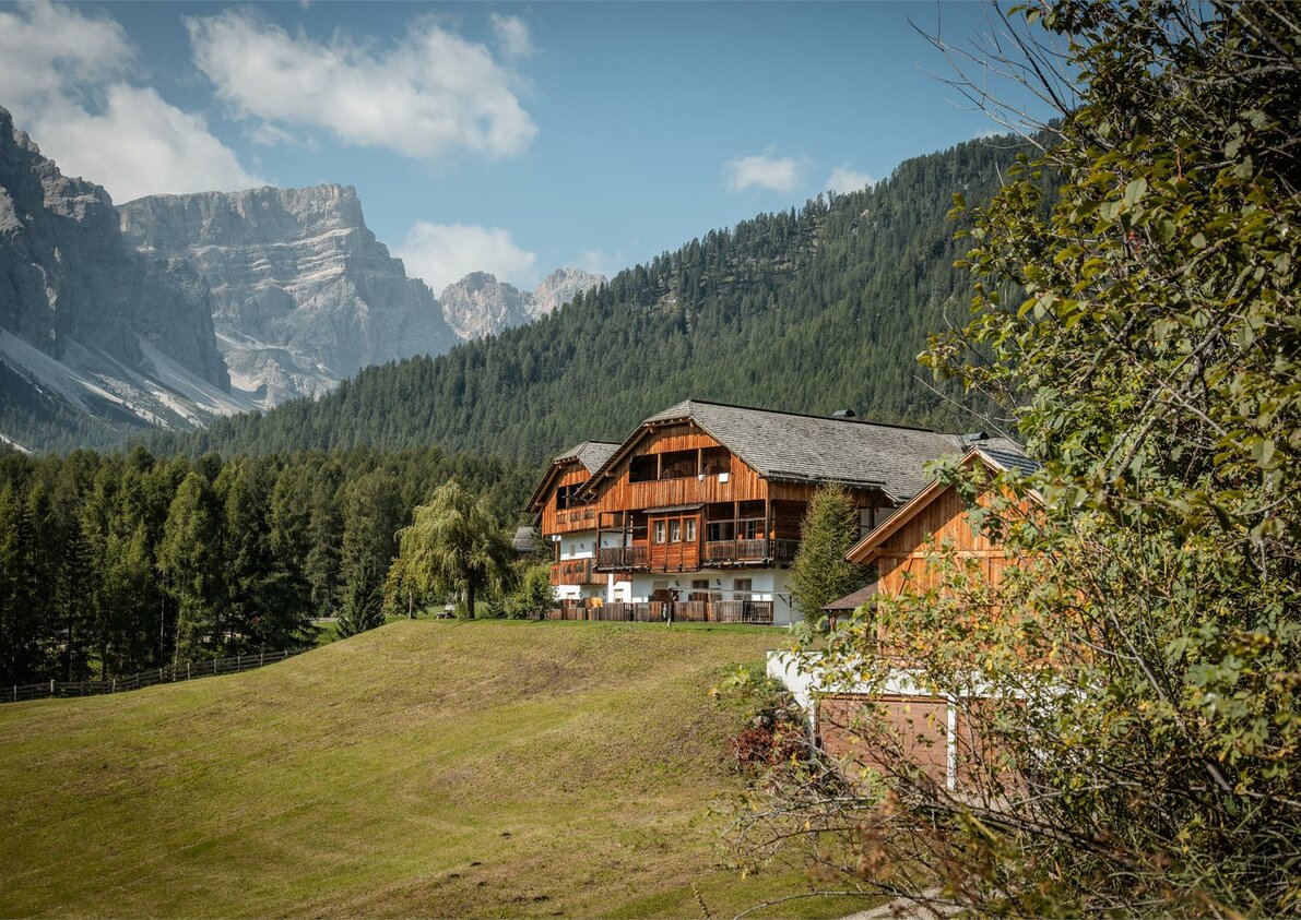 Pension odles im Sommer