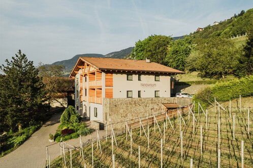 Tanovinum Apartments