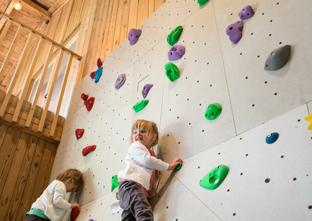 Hayloft Apartments Kletterwand