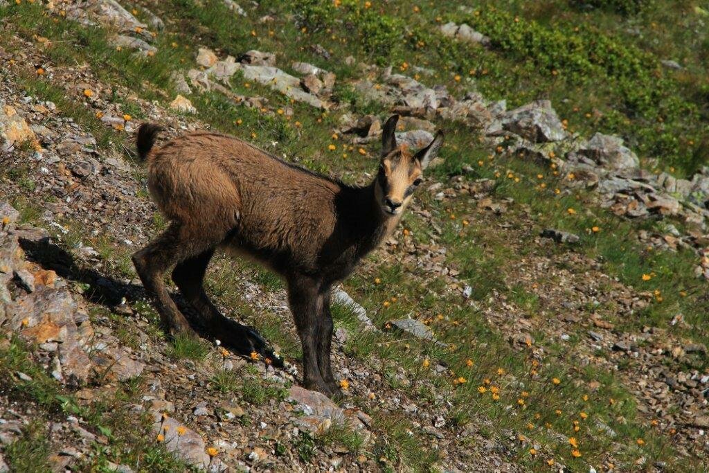 Urlaub auf dem Bauernhof, Rauchegg, Ultental, Südtirol