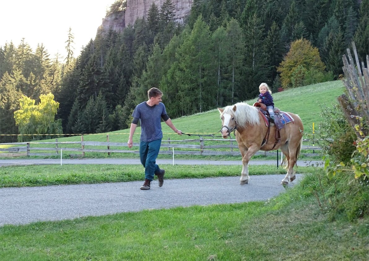 Haflinger Pferde am Bauernhof Rotsteinhof in Vöran, Südtirol