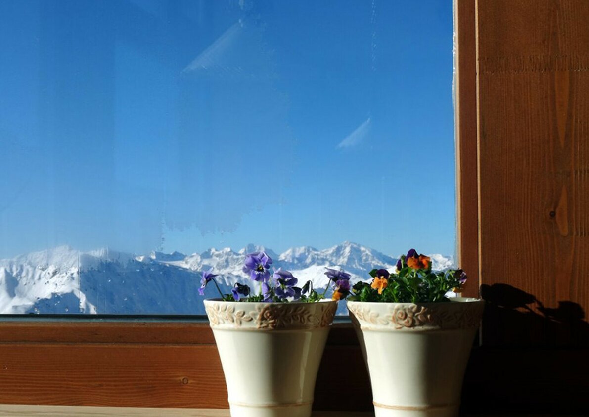 Similaunhütte