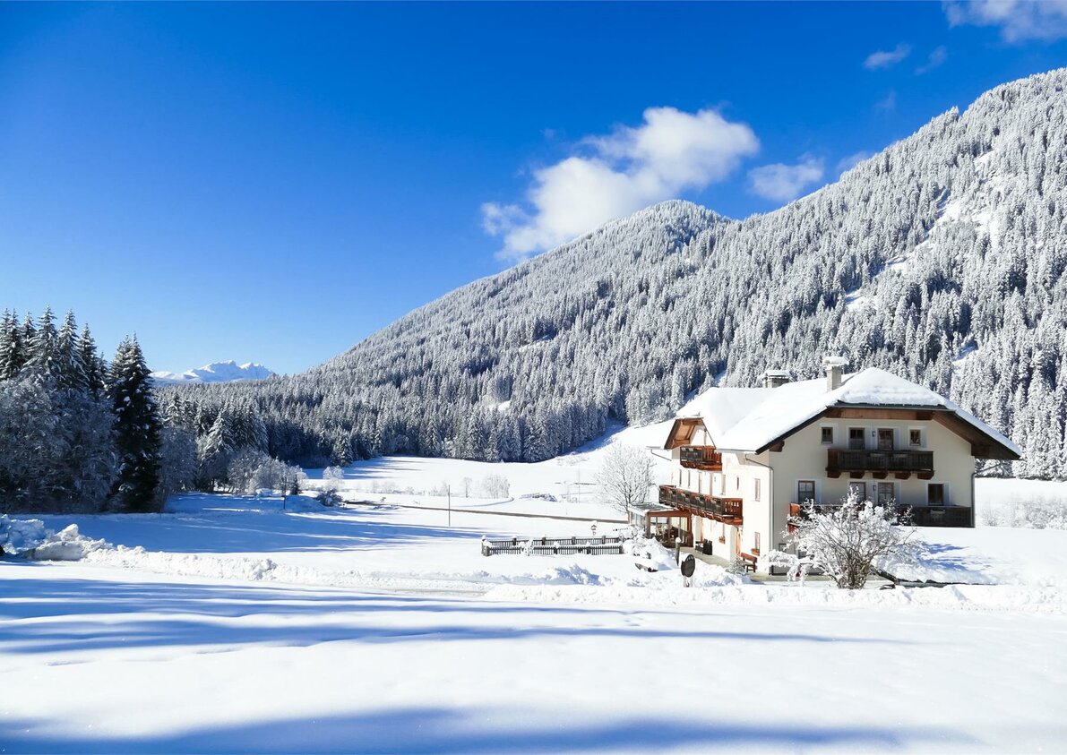Stacherhof