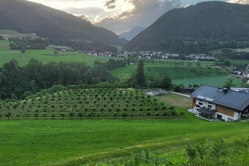 Tanglerhof