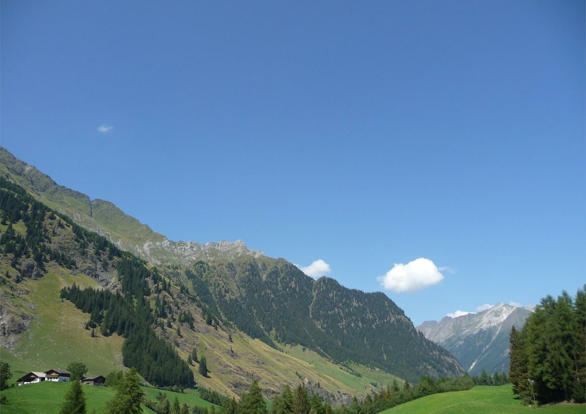 Panoramic view