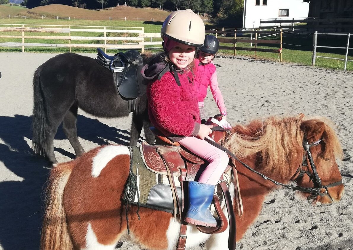 Pony